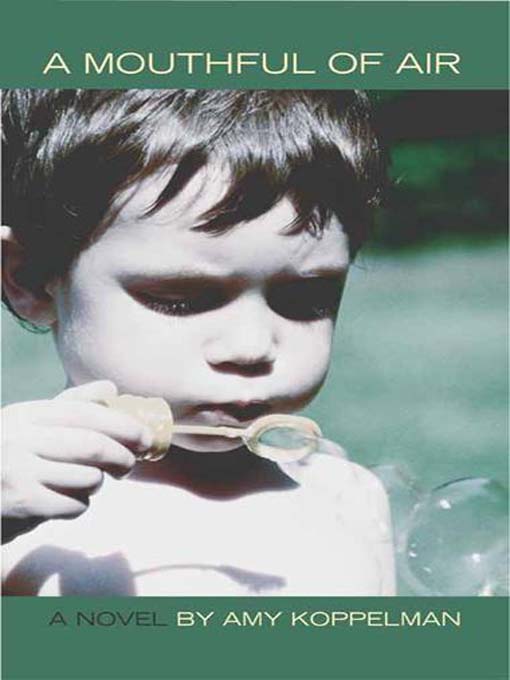 A Mouthful of Air (eBook)